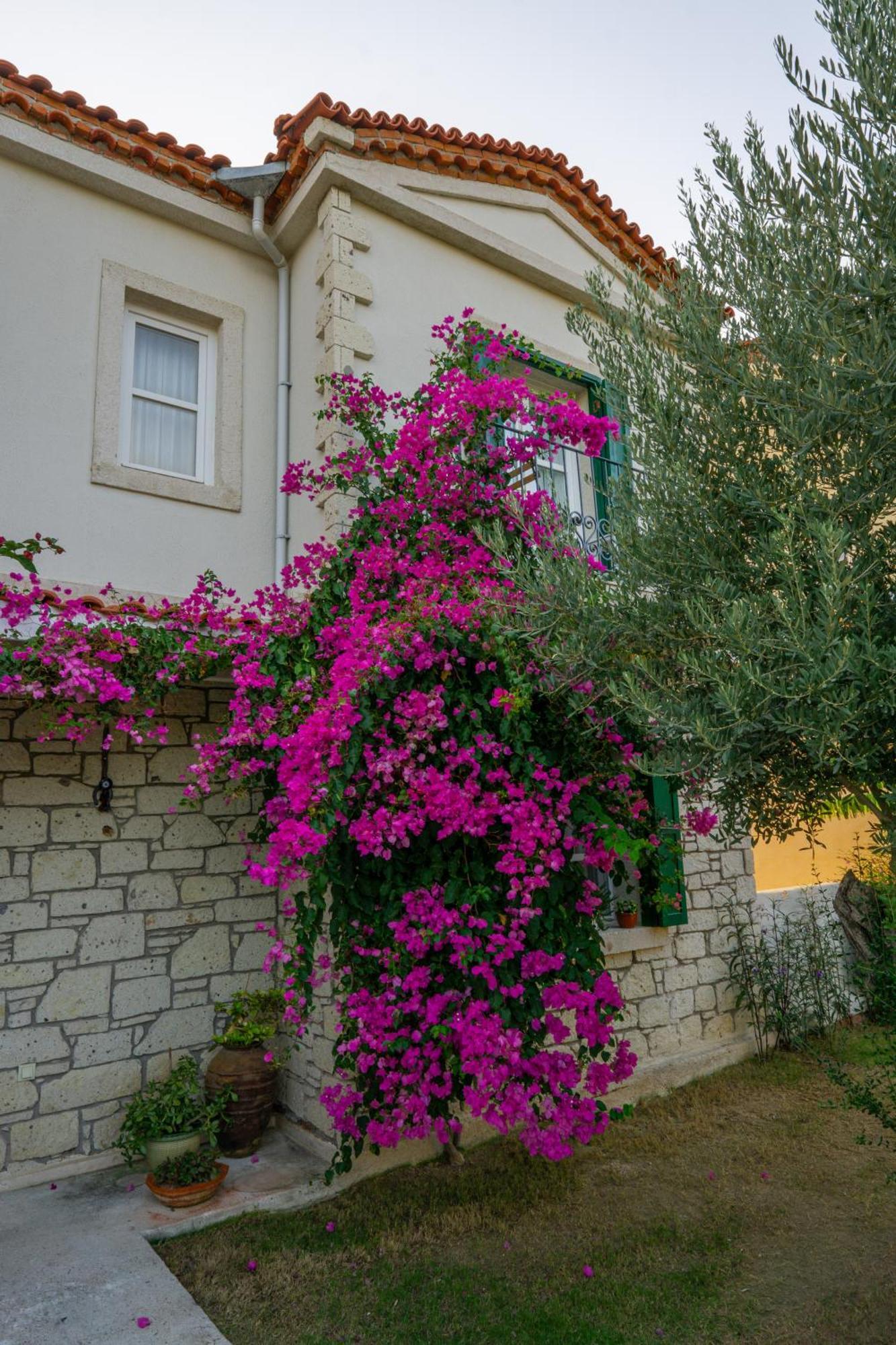 Melekaki Alacati Çeşme Exteriér fotografie